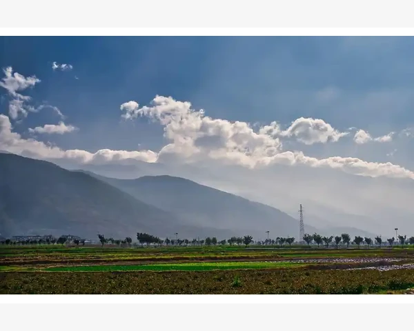 气血不足，头发干枯——中医视角下的头发健康分享