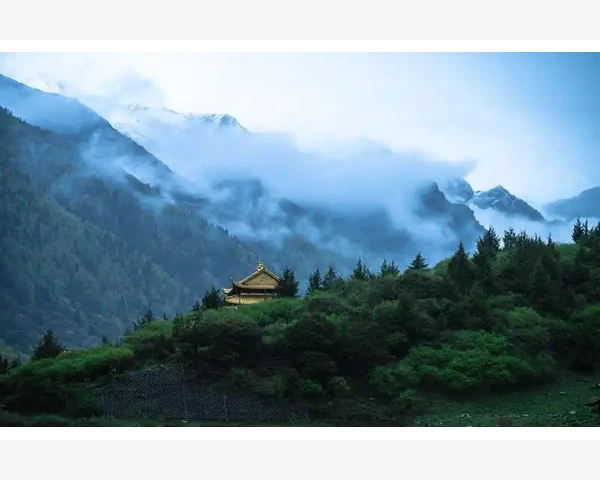 注册会计师考试书目选择与学习路线规划