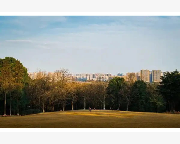 脾胃虚弱常腹泻，如何调理是关键